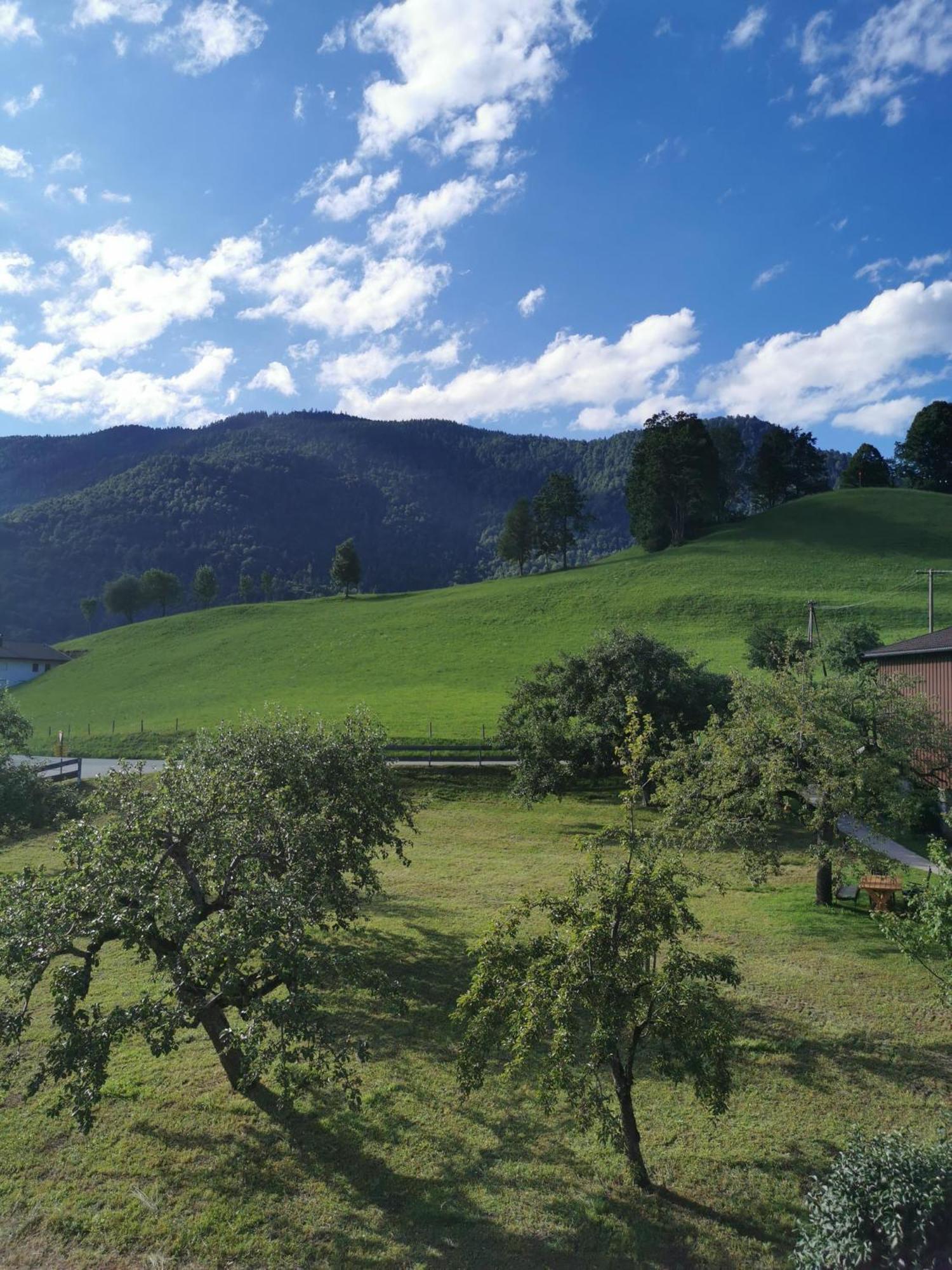 Landidyll Am Thiersee Kültér fotó